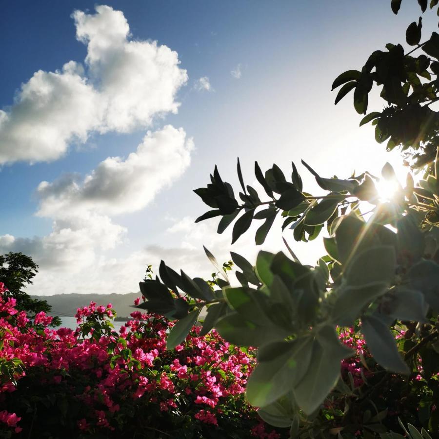 Vue Sur Mer A La Villa Parme Le Robert Exterior photo